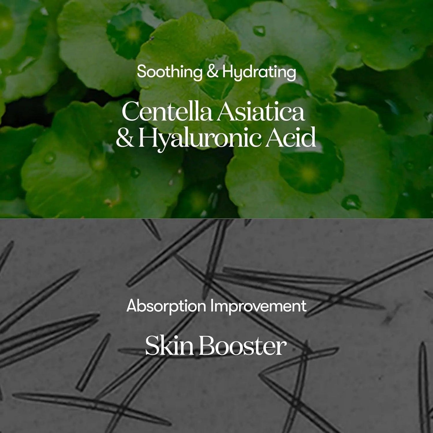 VT - Reedle Shot - koiyu