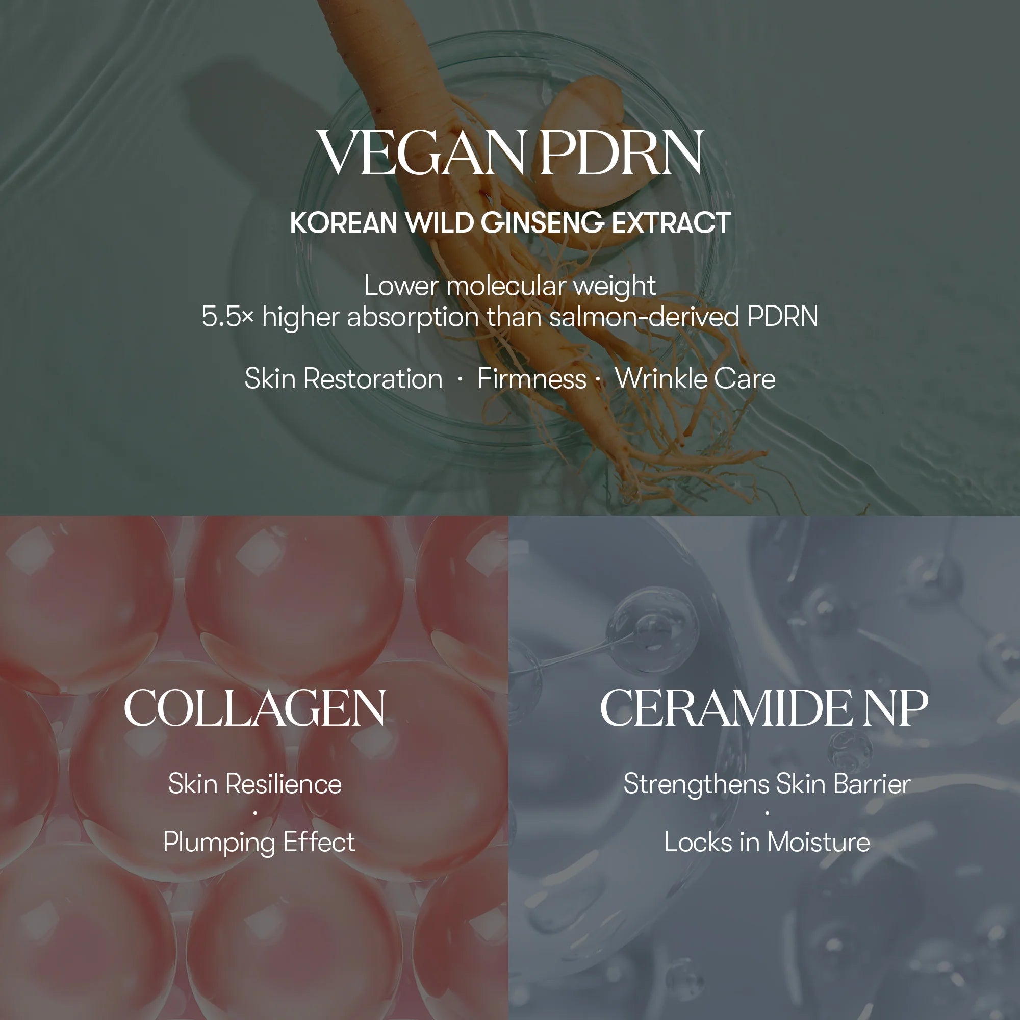 VT - PDRN 100 Essence Stick [9.5g] - koiyu