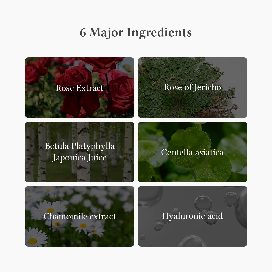 Dr. Althea - Oasis Soothing Mask