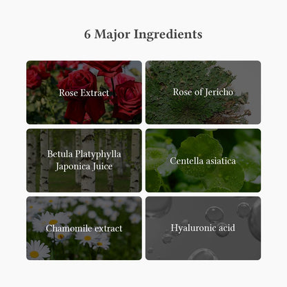 Dr. Althea - Oasis Soothing Mask