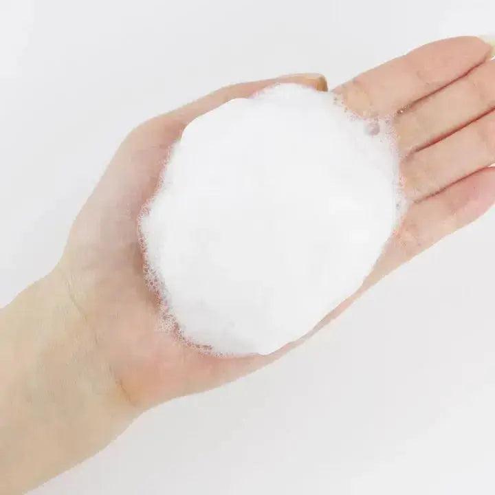 Round Lab - 1025 Dokdo Cleanser - koiyu